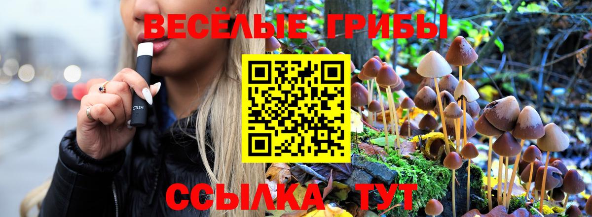 Псилоцибиновые грибы мухоморы Майкоп